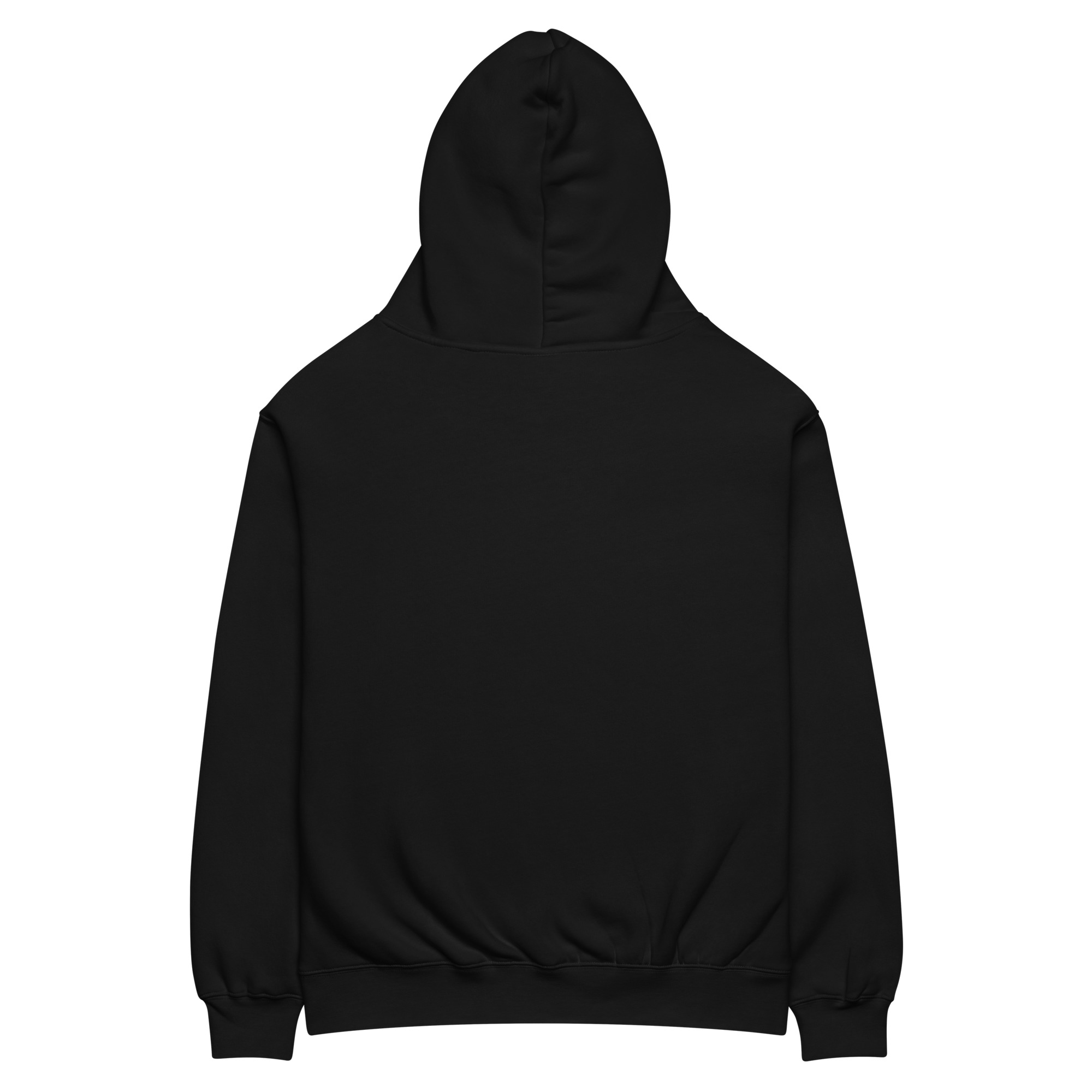 The Wealth Enterprise Unisex Oversized Hoodie - Black - Image 4